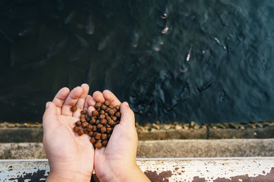 Cropped hands holding food over lake