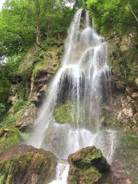 Scenic view of waterfall in forest