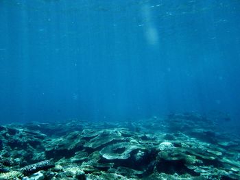 View of sea underwater