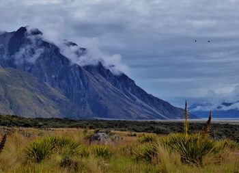 Scenic view of field and mountains against sky