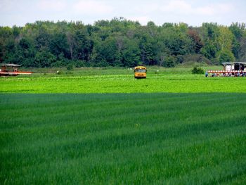 Scenic view of agricultural field