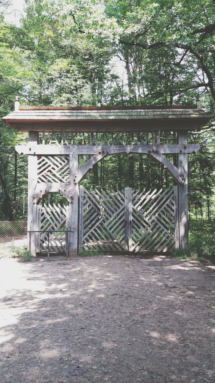 tree, gate, day, outdoors, no people, growth, closed, plant, nature, tranquility, empty, green color