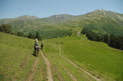 Rear view of man riding horse on field