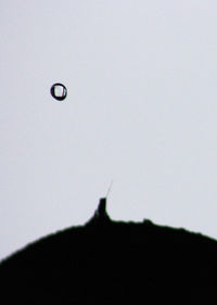 Close-up of horse against sky