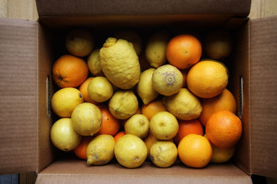 High angle view of fruits in container