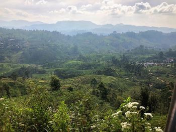 High angle view of trees on landscape against sky