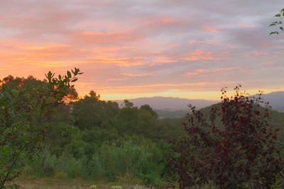 Scenic view of landscape against sky at sunset