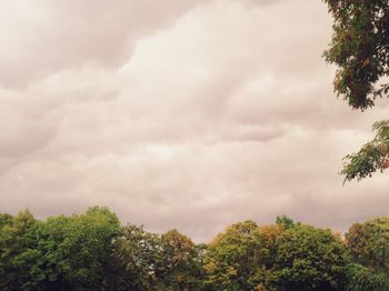 Low angle view of trees against cloudy sky