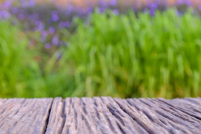 Close-up of wooden bench on field