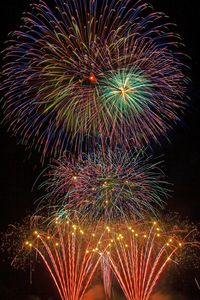 Low angle view of firework display at night