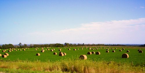 Hay bales on field against sky