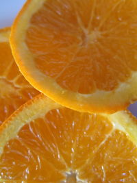 Close-up of orange