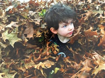 High angle view of cute boy in autumn leaves