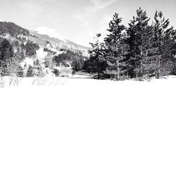 Scenic view of snow covered mountains