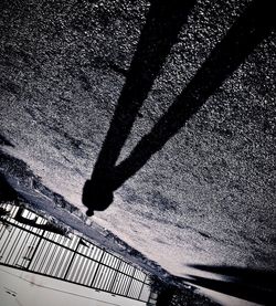 High angle view of silhouette person on street
