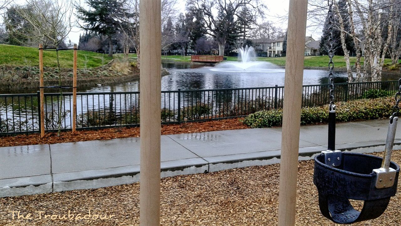 VIEW OF TREES IN WATER