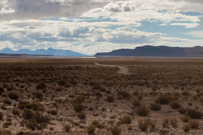 Scenic view of field against cloudy sky