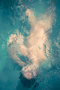 High angle view of shirtless man swimming in pool