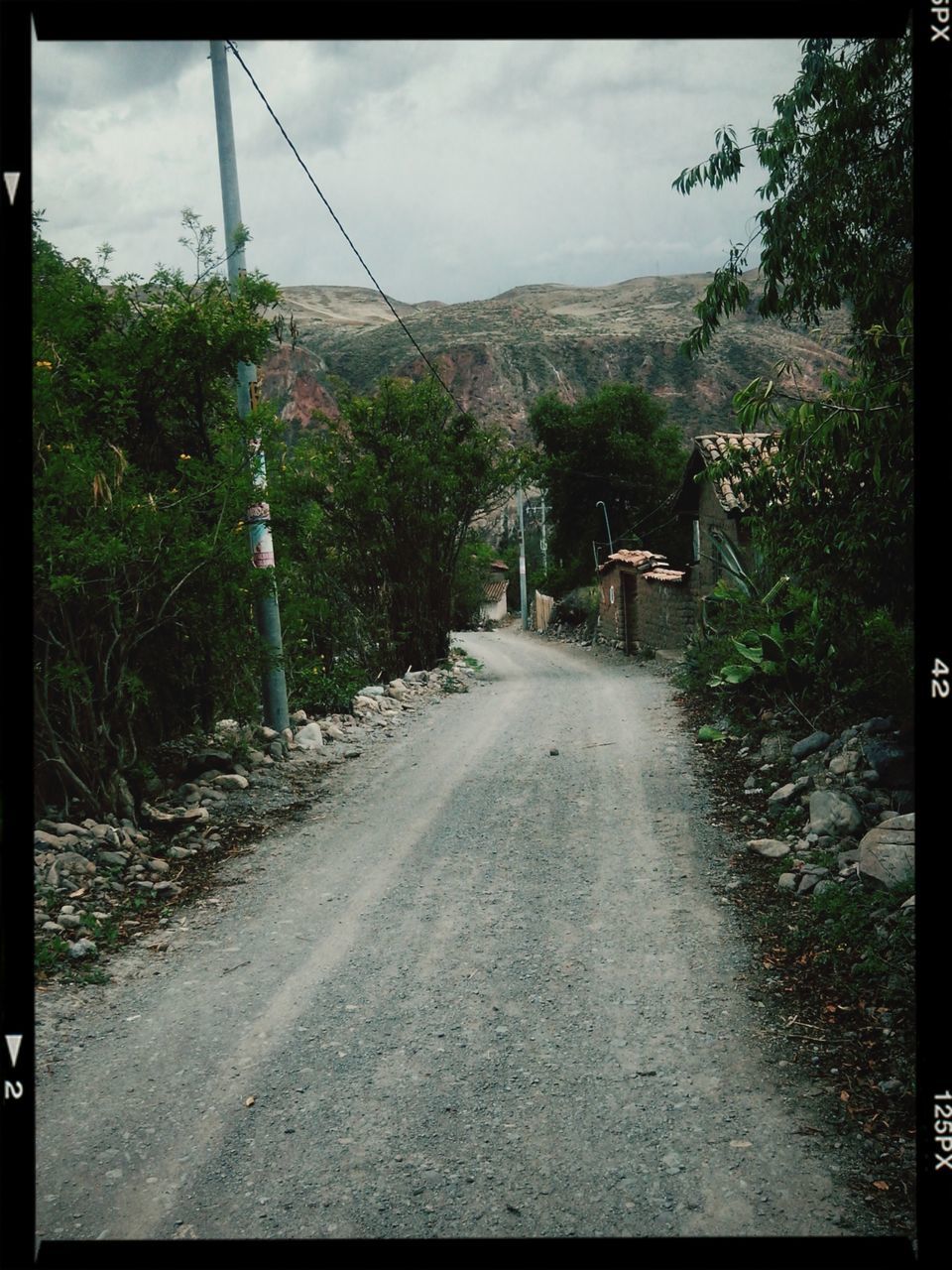 transfer print, the way forward, sky, road, auto post production filter, tree, diminishing perspective, vanishing point, transportation, mountain, empty, cloud - sky, tranquility, street, empty road, nature, tranquil scene, growth, cloud, day