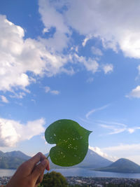 Person holding leaf against sky