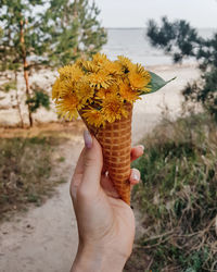 Close-up of hand holding flowers in ice cream cone