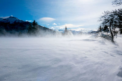 Scenic view of snow covered landscape