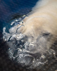 Close-up of water