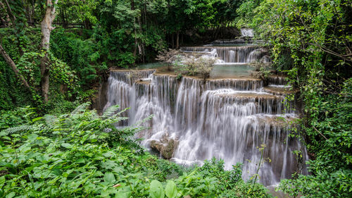 Scenic view of waterfall in forest