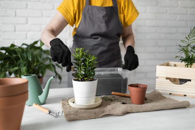 Midsection of woman holding potted plant on table