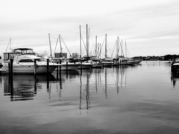 Sailboats moored in harbor