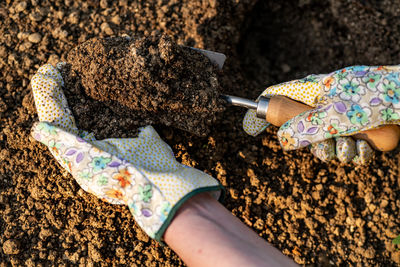 Gardener planting flowers in her flowerbed. gardening concept. soil digging. hand close up.