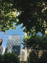 Low angle view of building