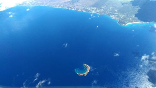 Close-up of jellyfish swimming in sea