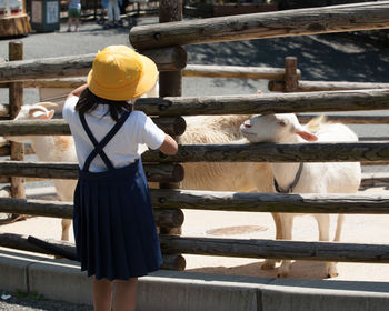 Rear view of girl looking at goat