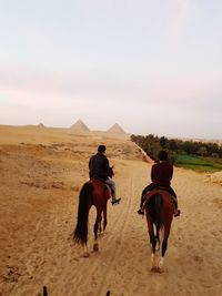 Rear view of man riding horse on desert against sky