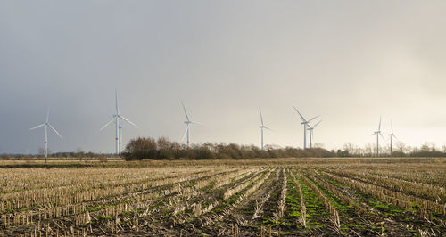 Windmills on field against sky