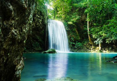 Scenic view of waterfall in forest