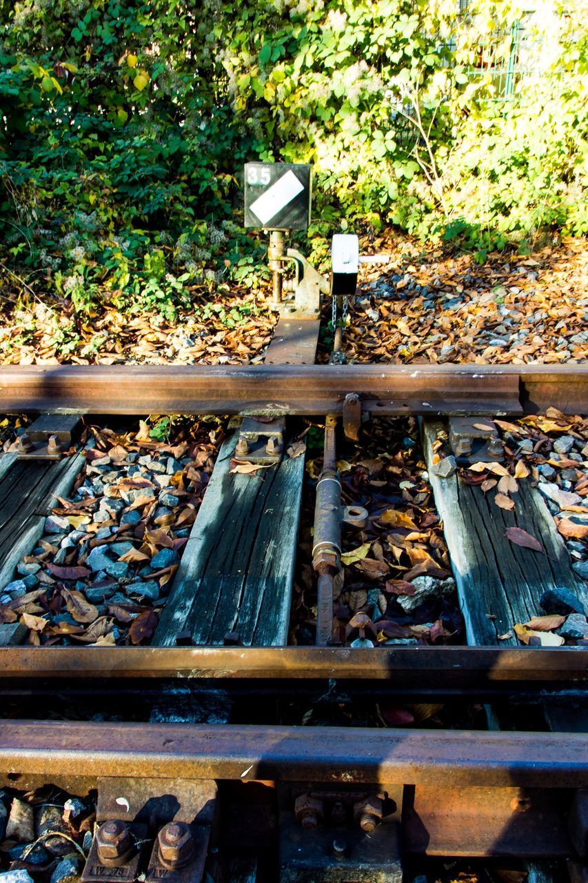 HIGH ANGLE VIEW OF RAILROAD TRACK BY TREES