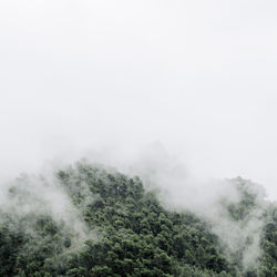 Scenic view of tree mountains against sky