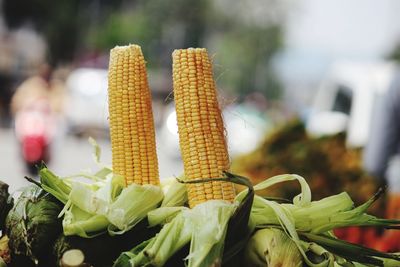 Close-up of fresh vegetables