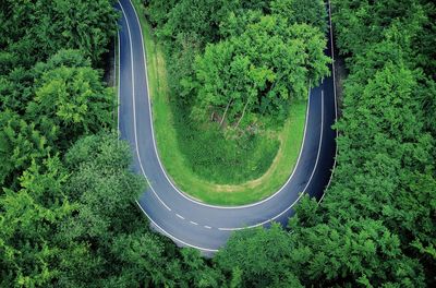 Aerial view of road amidst forest 