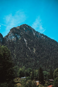 Scenic view of forest against blue sky