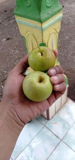 Holding small fresh apples