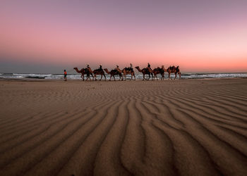 Group of people on sand at beach against sky