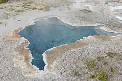 Colorful hot spring in the wilderness of yellowstone national park in wyoming