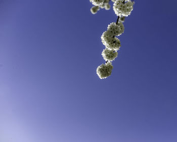 Low angle view of blue sky over sea
