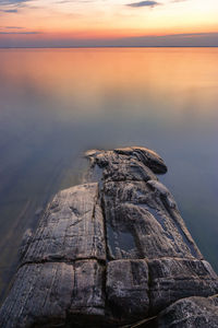 Close-up of driftwood on beach