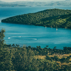 High angle view of lake along lush foliage