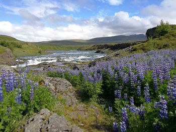 Scenic view of purple mountains against sky