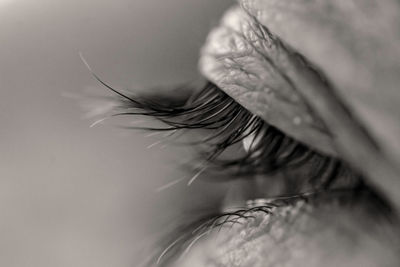 Extreme close-up of woman eye